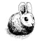 Hare Language Compiler