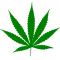 Dopewars