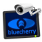 bluecherry-client