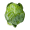 Stream Sprout