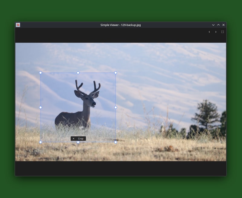 Install Simple Viewer on Linux | Snap Store