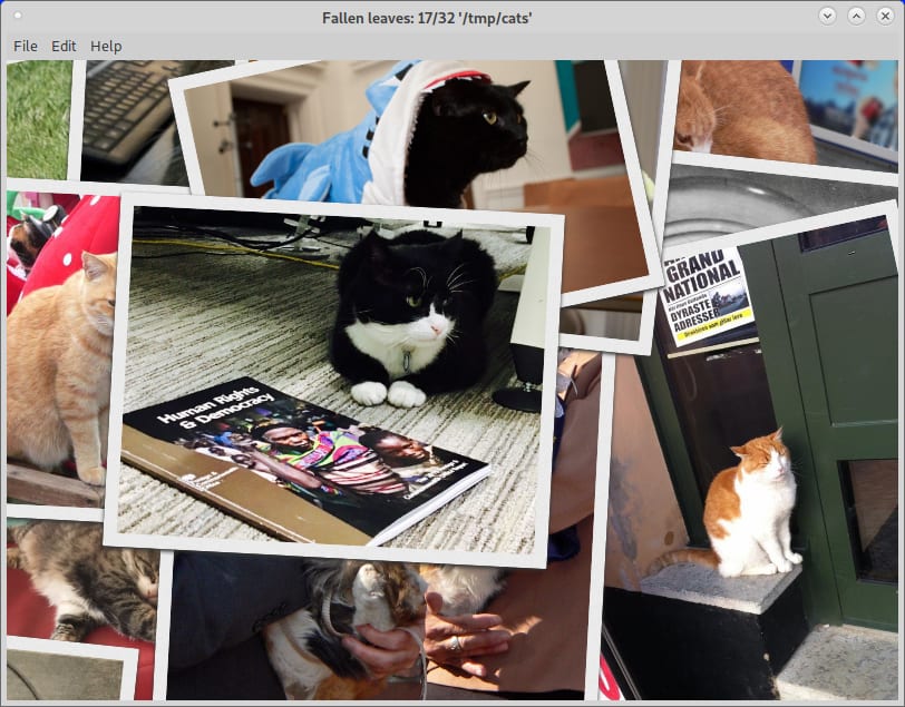 Install Fallen Leaves For Linux Using The Snap Store Snapcraft