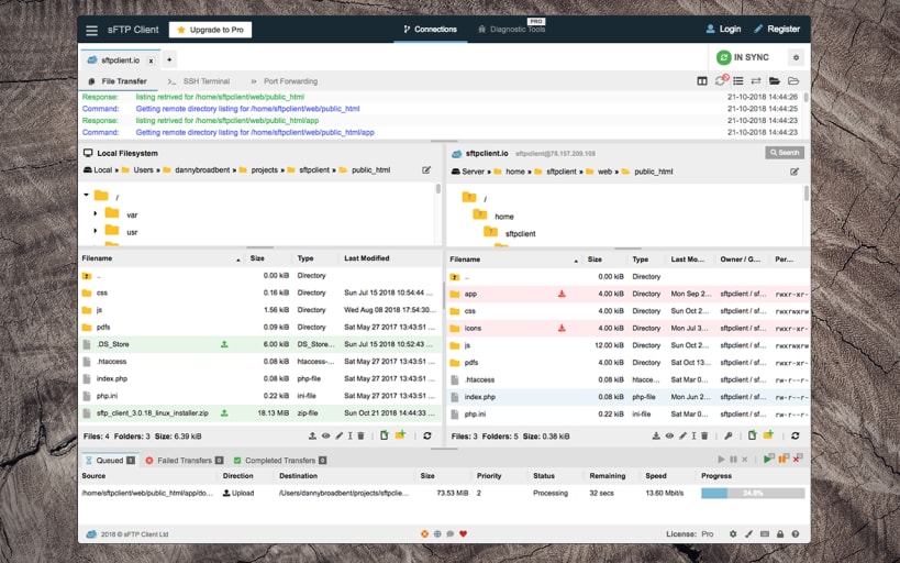 Install sFTP Client on Linux | Snap Store