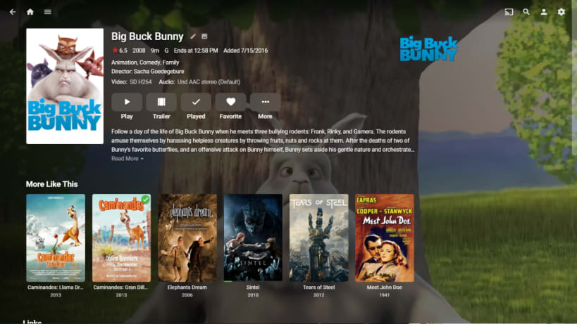 Install Emby Server on Linux | Snap Store