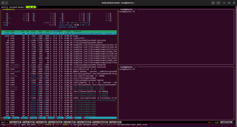 Install zellij on Linux | Snap Store