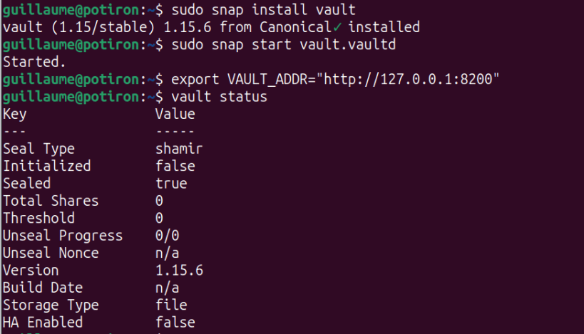 Install vault on Linux | Snap Store