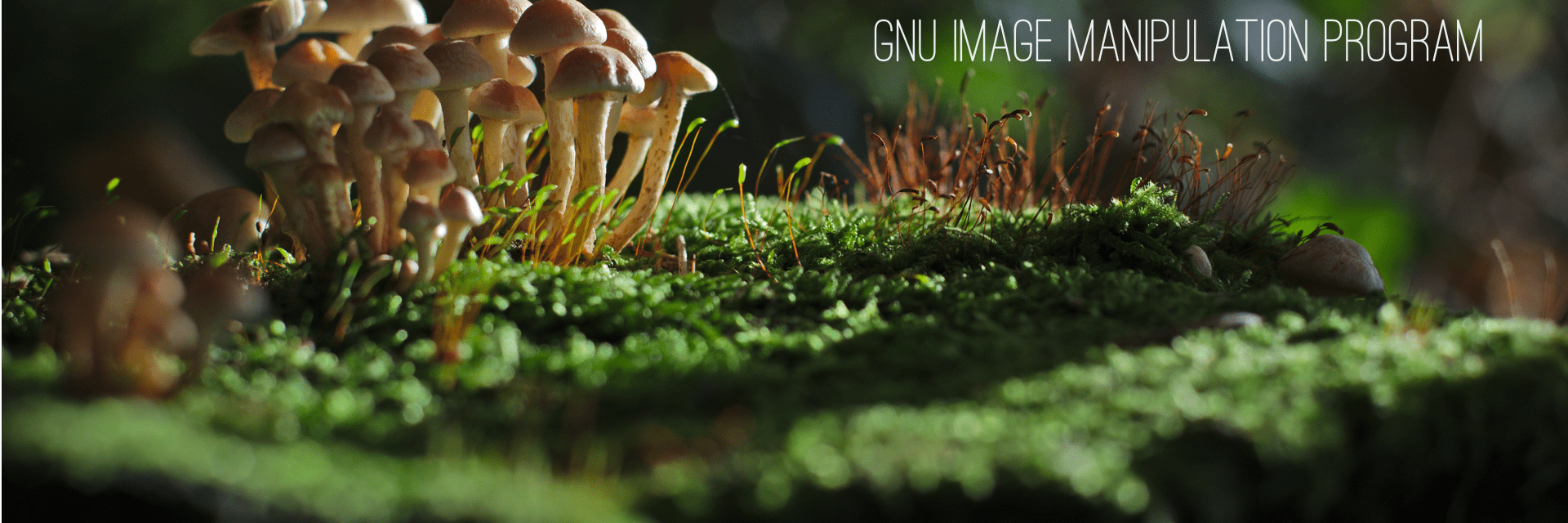 GNU Image Manipulation Program banner
