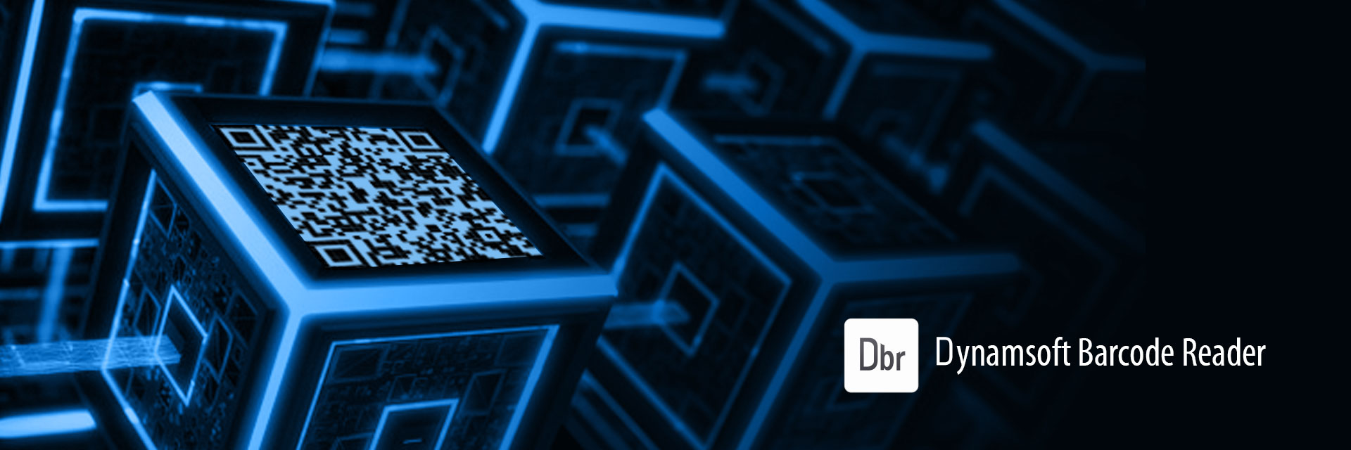 Dynamsoft Barcode Reader Demo banner