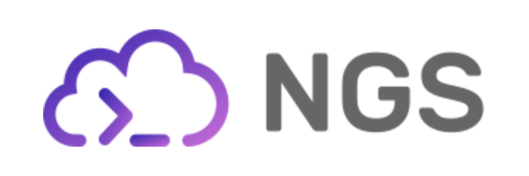 ngs banner