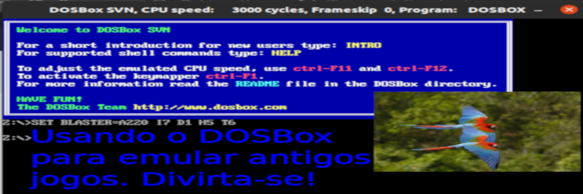 test-dosbox-comecando banner