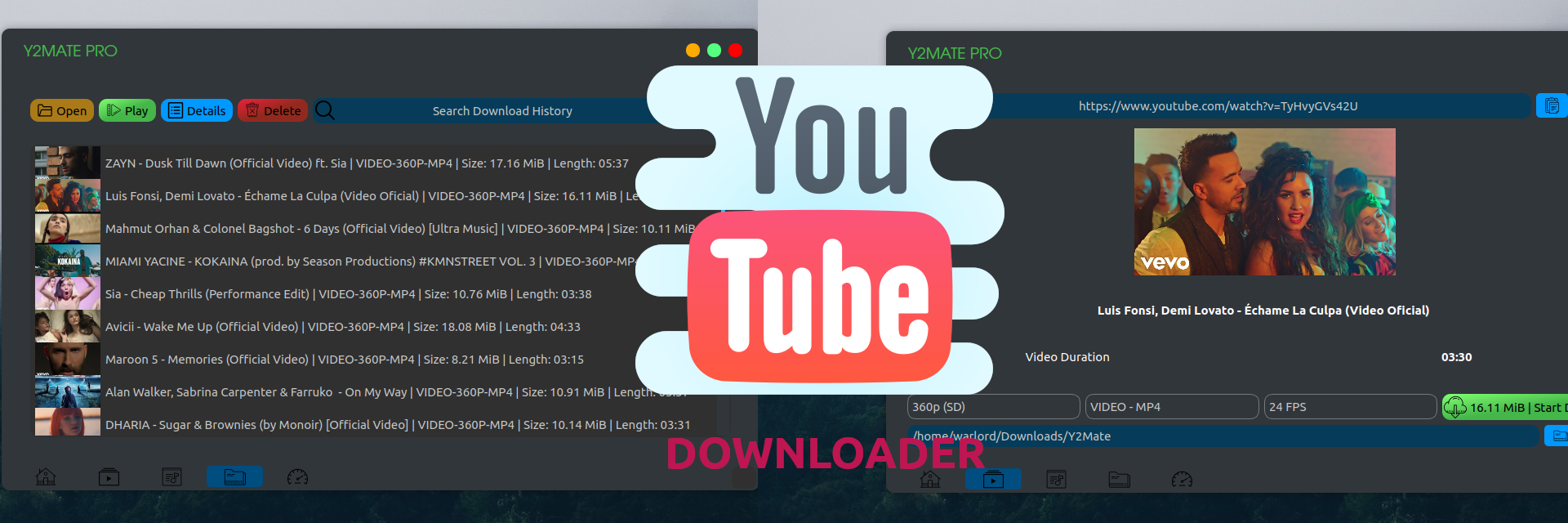 Y2mate Youtube Video Downloader