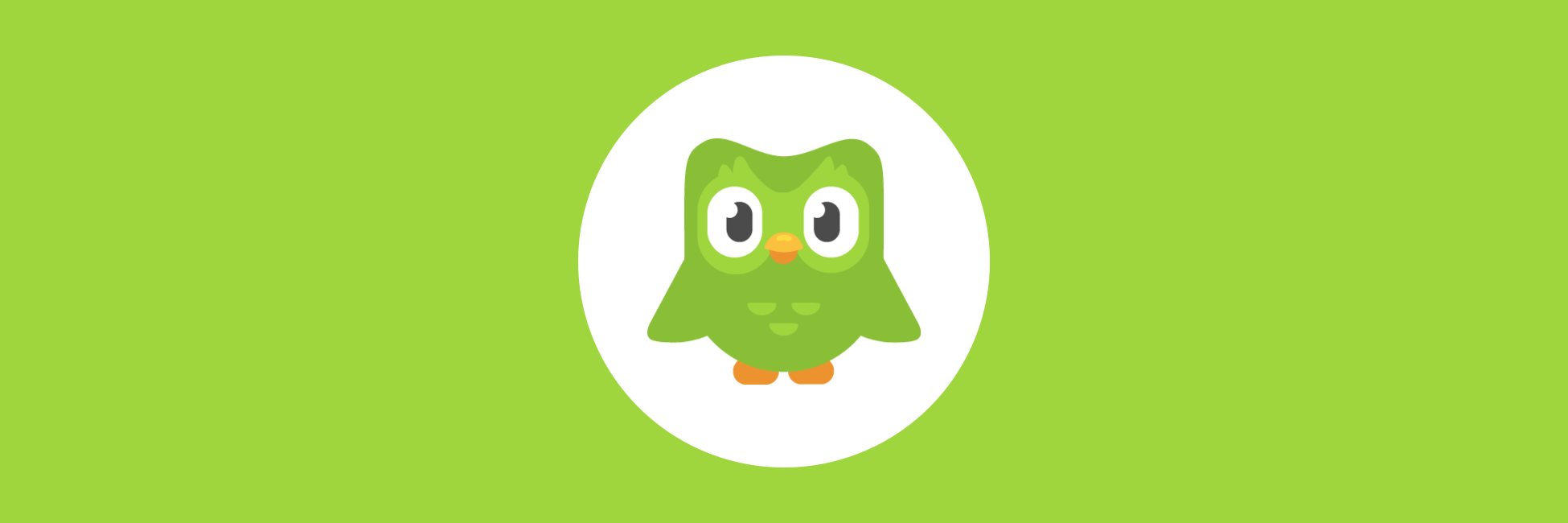 Duolingo banner