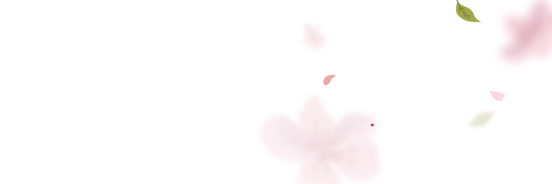 Umami Wallet banner