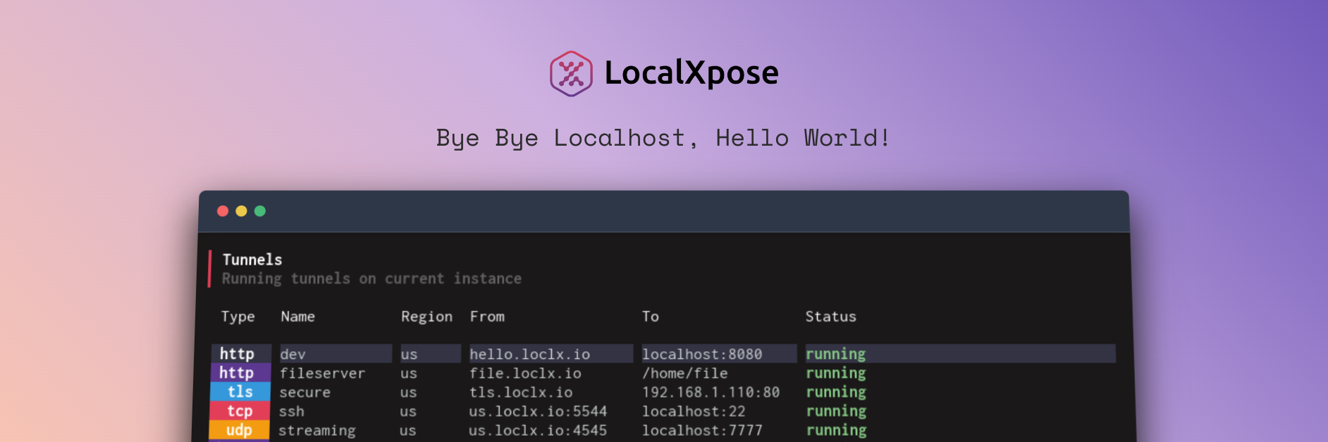 localxpose banner