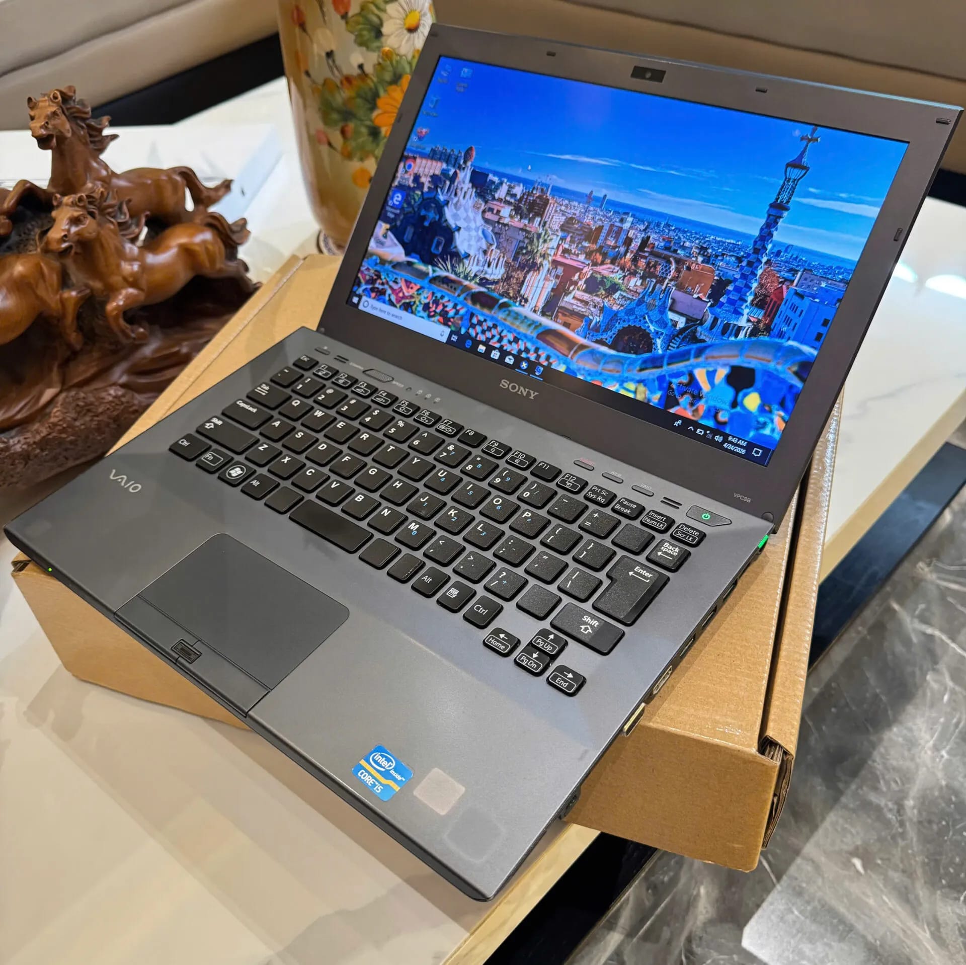 Sony VAIO PCG-4121GN