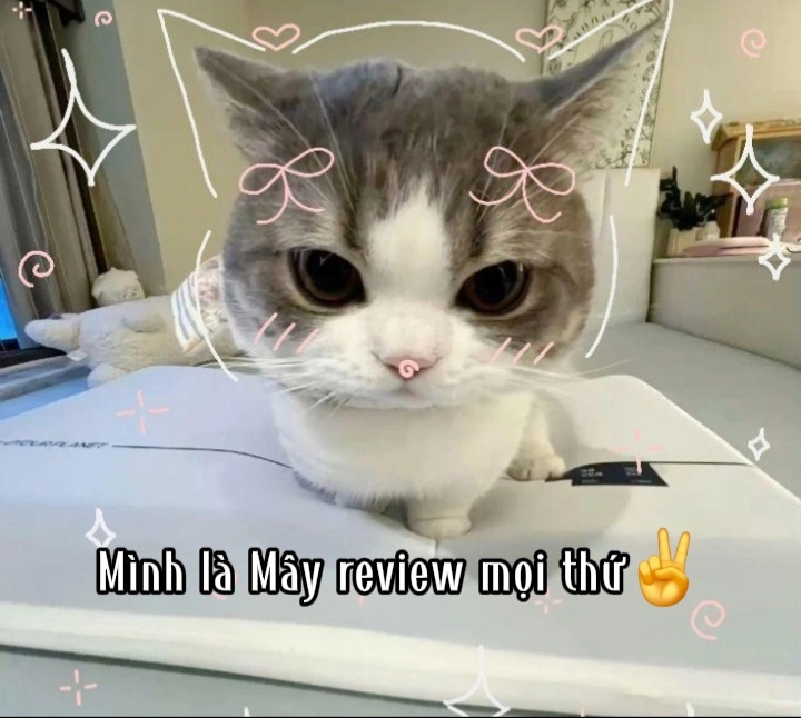 Dương Ngọc Bảo Châu 