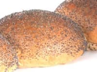 Bruine bol maanzaad
