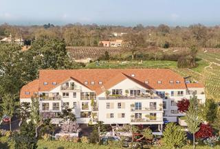 LE DOMAINE DES VIGNES