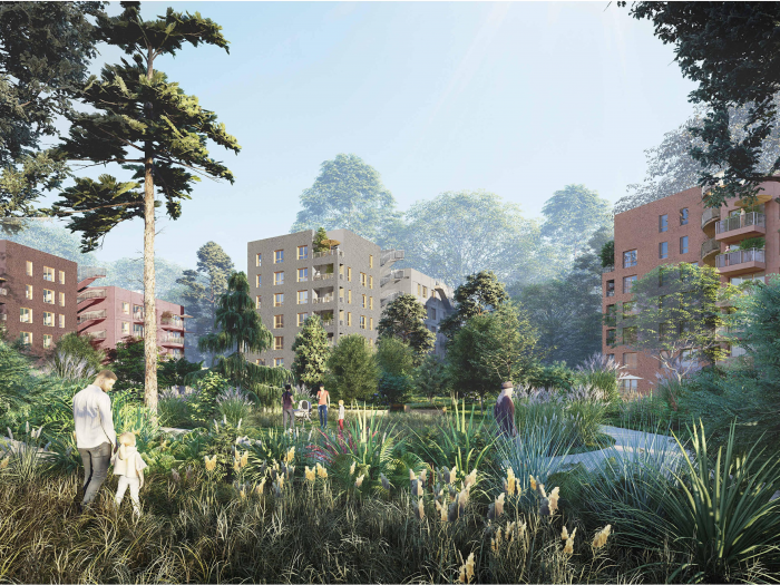 LES SYCOMORES - CANOPEE