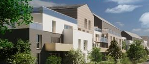 OXALIS / NOUVEAU A CHARTRES