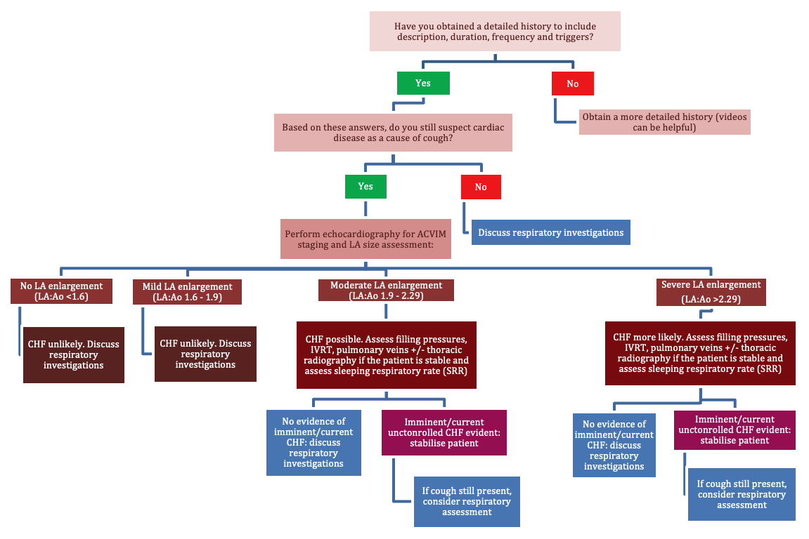 Diagram showing a suggested algorithm for a dog with mitral valve disease