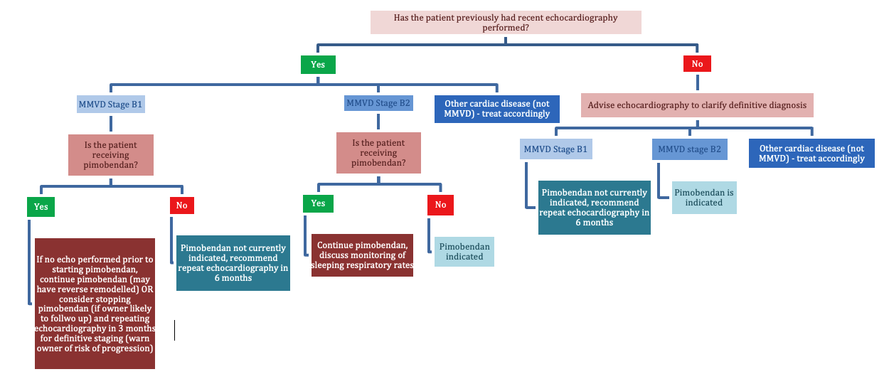 Flowchart suggested algorithm on mitral valve disease