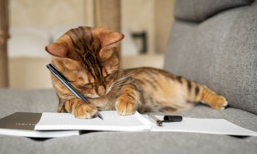 A cat writing on a notepad