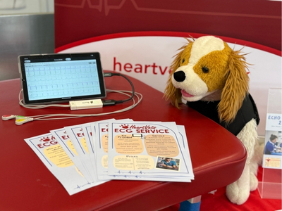 Plush dog toy at HeartVets stand next to some informational leaflets