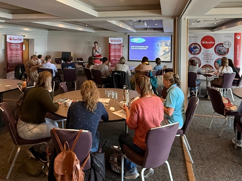 people in a hotel conference room watching a lecture from HeartVets