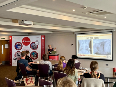 Delegates watching a HeartVets lecture