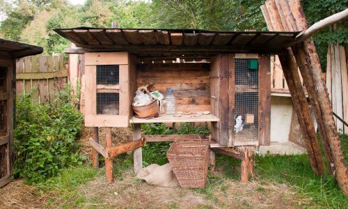 A rabbit enclosure outdoors