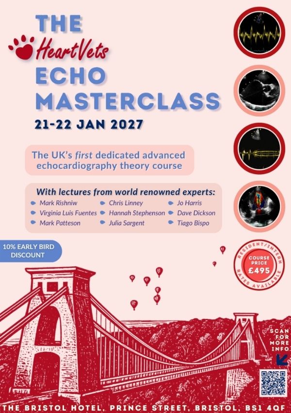 flyer for Echo Masterclass course