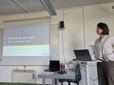 Jo stood at a lecture stand giving a presentation