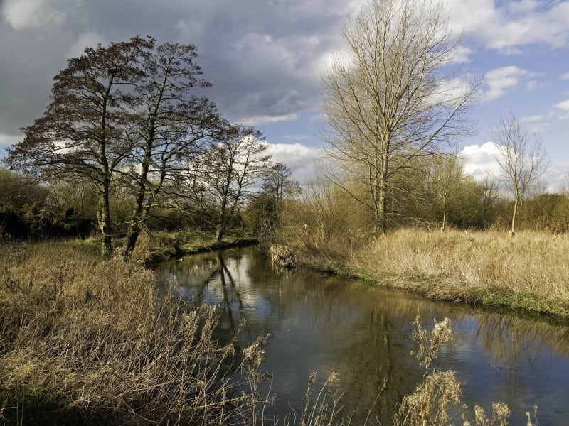 Habitat found at Lound