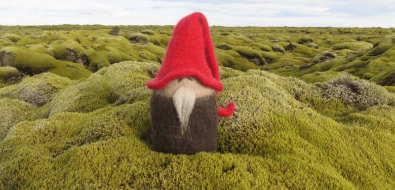 Image of an elf in moss in Iceland