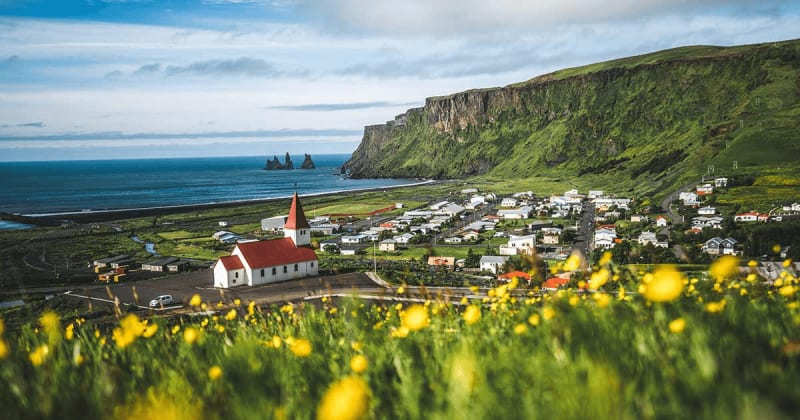 Image of Vik Iceland, showing yellow flowers and the small town with the beautiful church in the middle.
