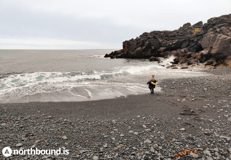a child playing on an Icelandic black stone beach in Krýsuvík Reykjanes