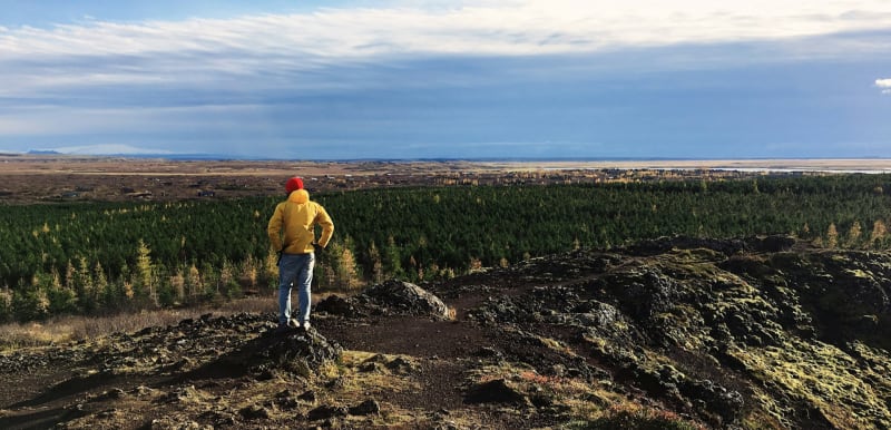 Image of a person standing outside in Iceland looking at trees and nature
