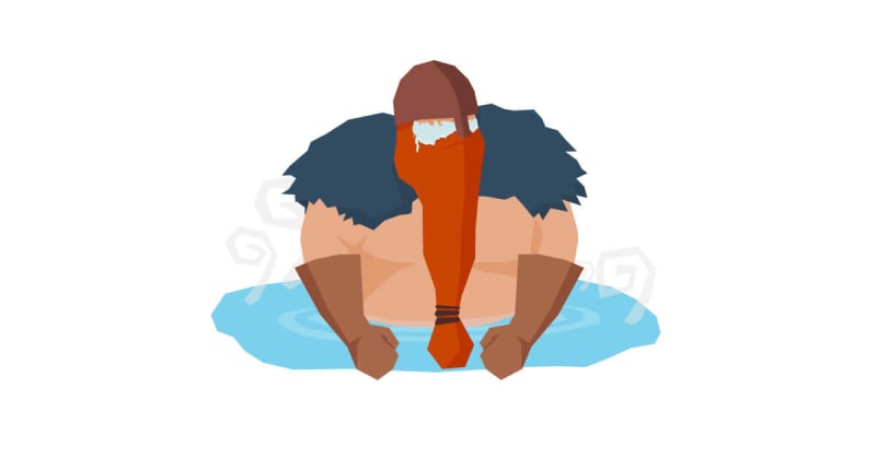 The Viking's Guide to Reykjanes