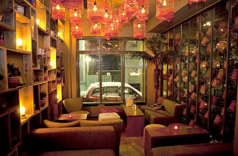 Restaurant Spotlight - Sushi Social