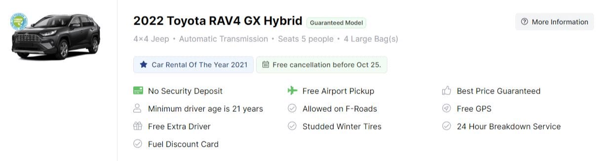 Hybrid 4x4 Car Rentals in Iceland