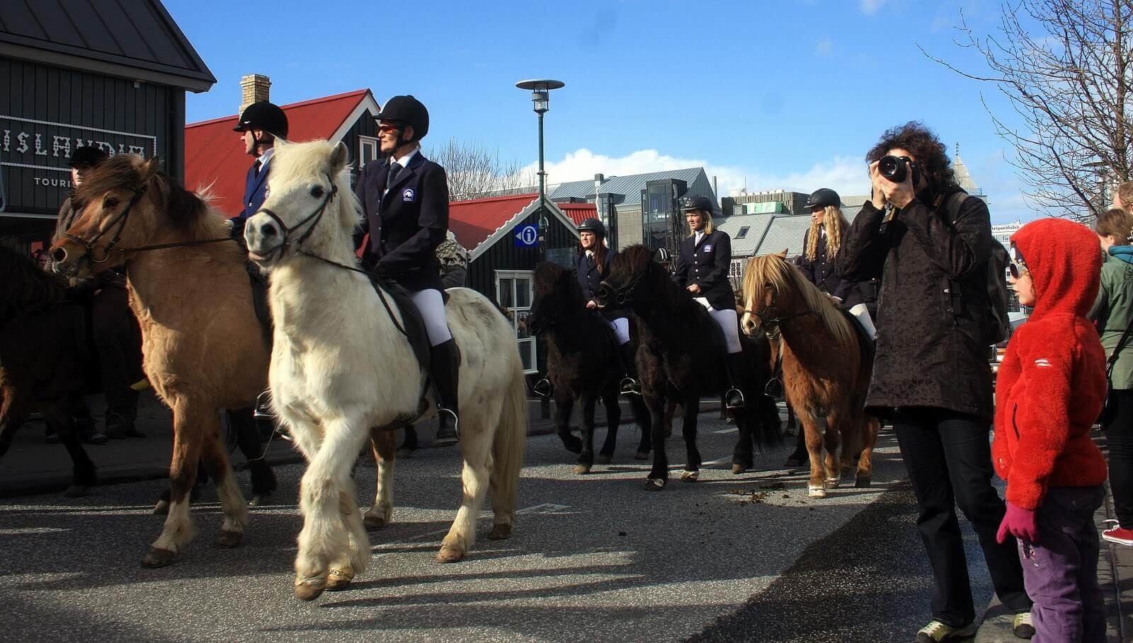 Reykjavik Horse Festival