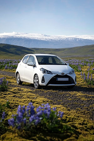 Compact and cheap rental cars in Iceland