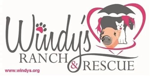 Windy's Ranch & Rescue
