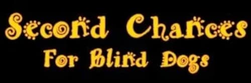 Second Chances for Blind Dogs