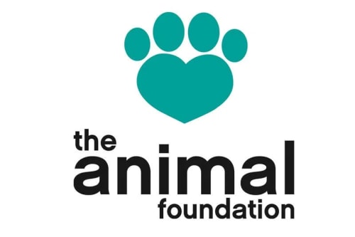 The Animal Foundation