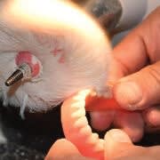 Dentsply Sirona Lucitone Process Finish.jpg