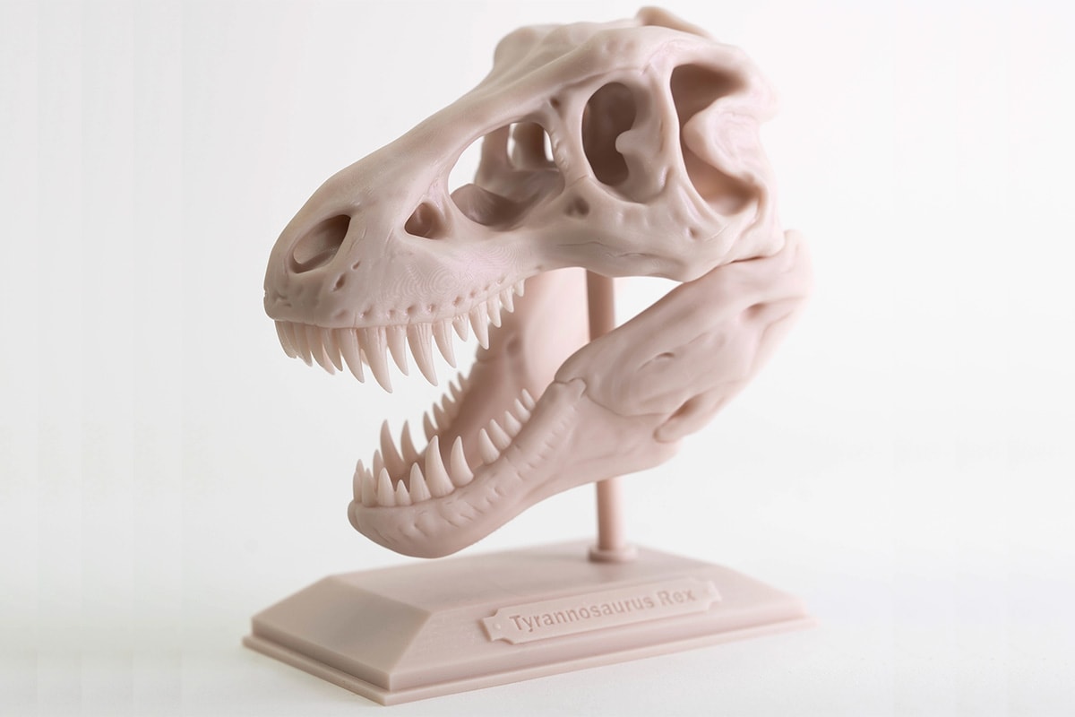 Carbon Dpr10 Tyrannosaurus Skull.jpg