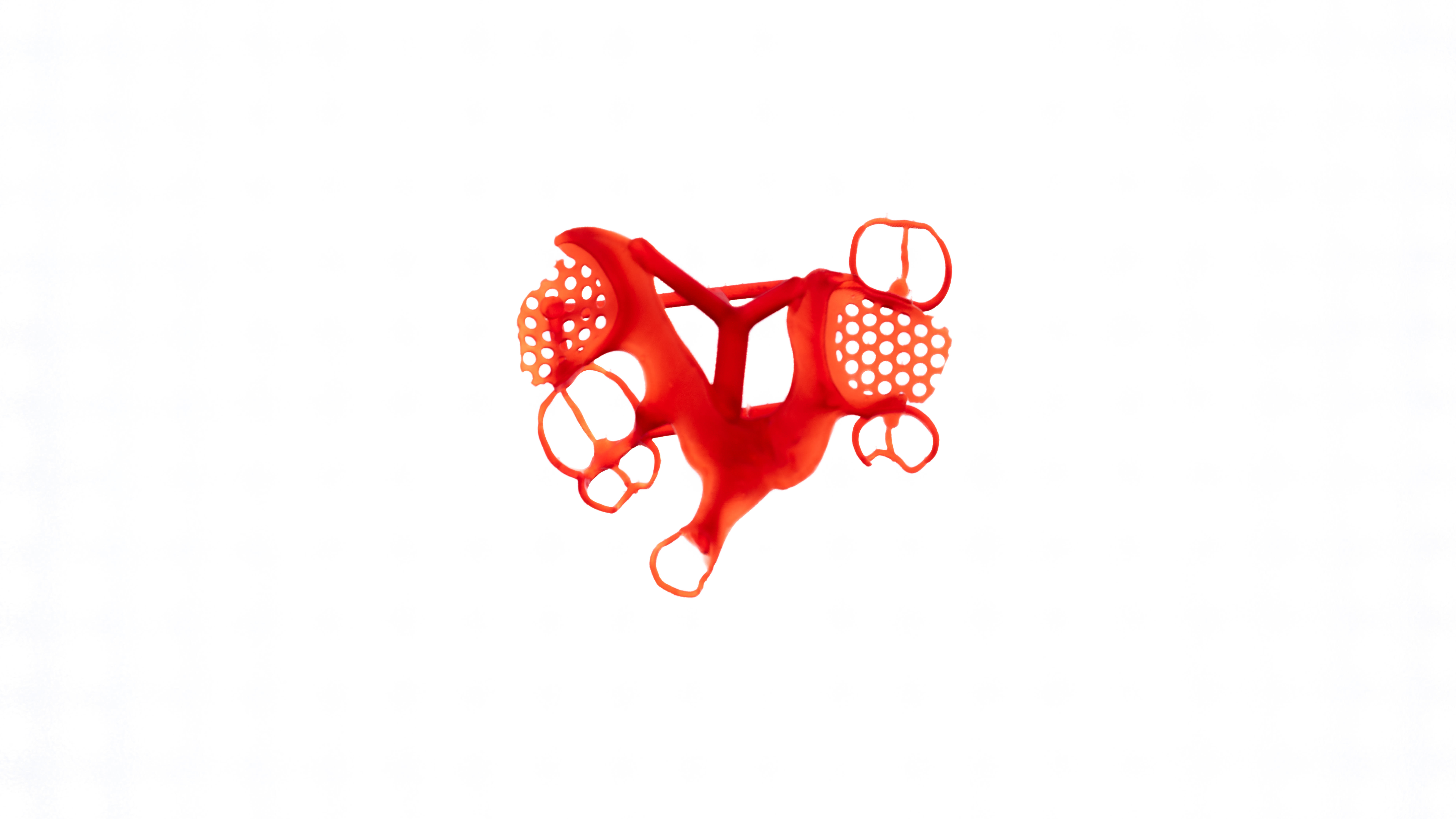 Dreve Fotodent Cast Frame Top.jpg