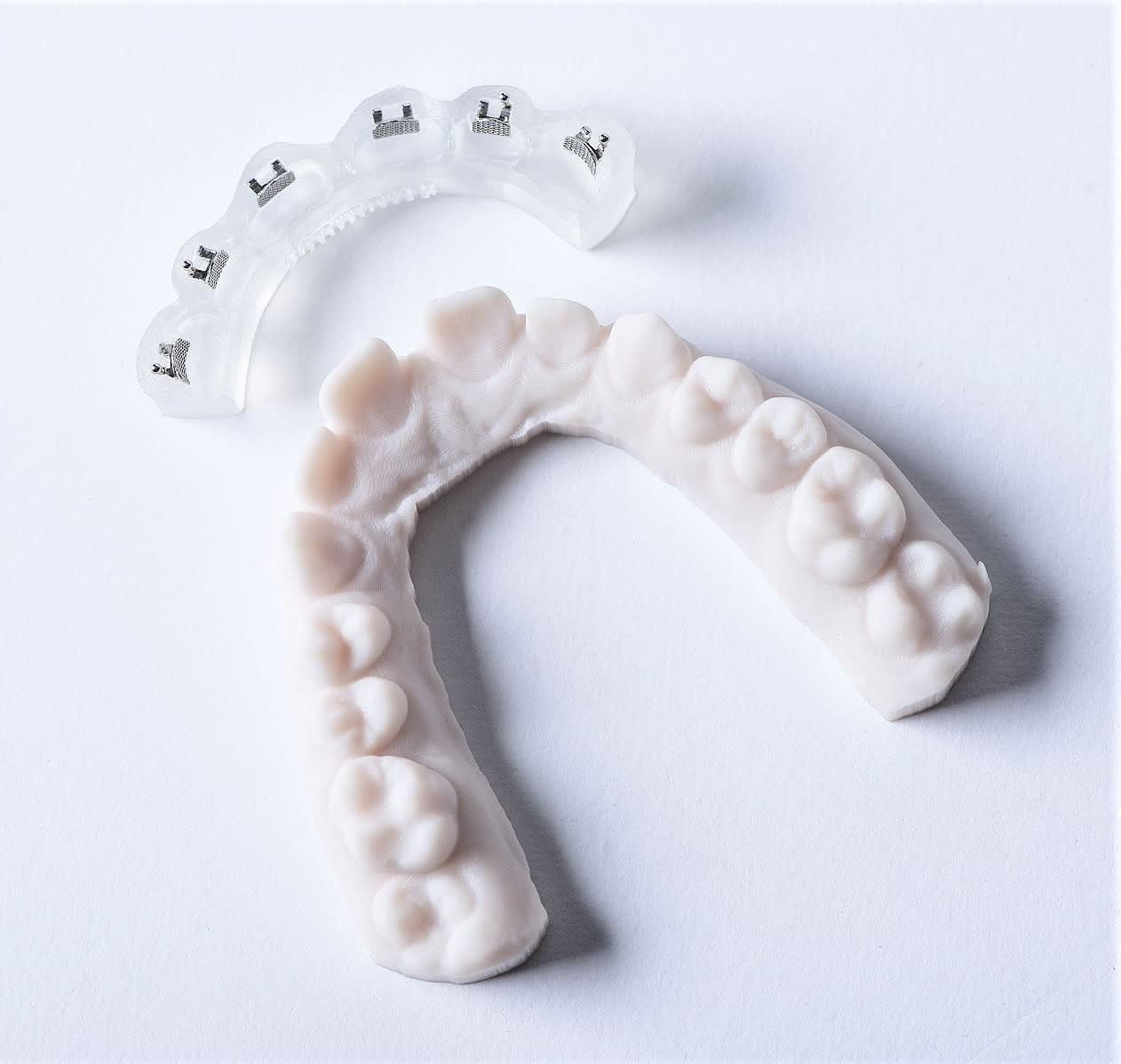 Dreve Fotodent Ibt Front Teeth With Model.jpg